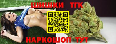 СК Кингисепп