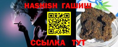 СК Кингисепп