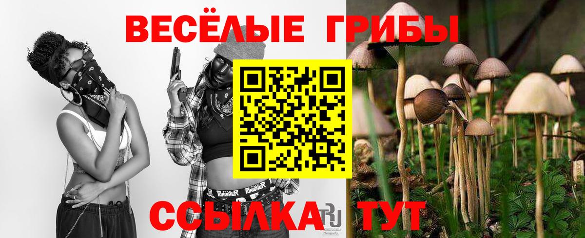 Владивосток  Псилоцибиновые грибы Cubensis  Псилоцибиновые грибы Cubensis  Вход с VPN 