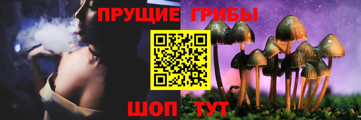 Галлюциногенные грибы Cubensis Владивосток